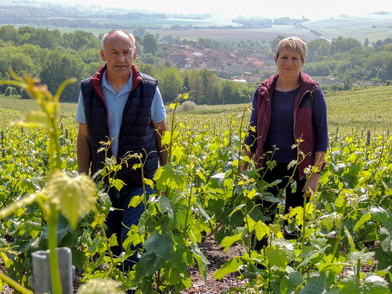 Vignerons propriétaires récoltants à Verneuil