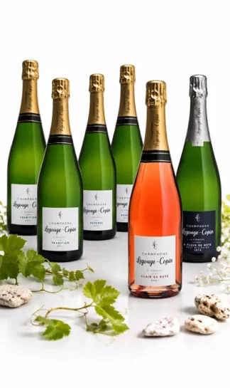 colis découverte 6 bouteilles Champagne Legouge Copin